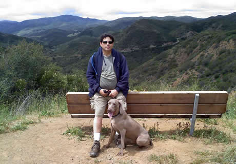 Weimaraner Rescue