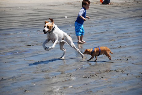 Rescue