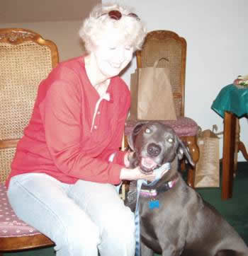 California Weimaraner Rescue