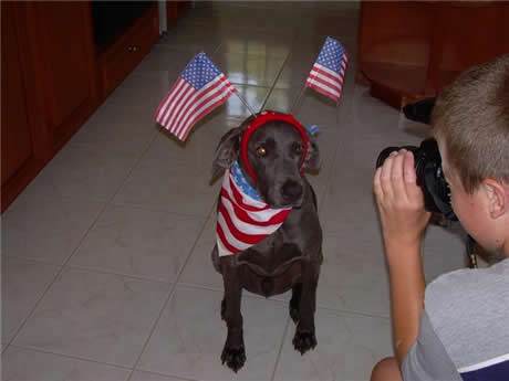 Weim Rescue